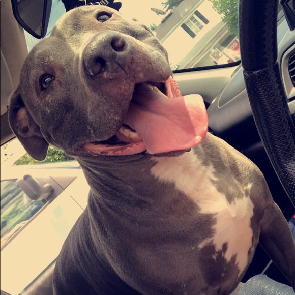 Meet your Posher, Stephen - Picture 1 of 1